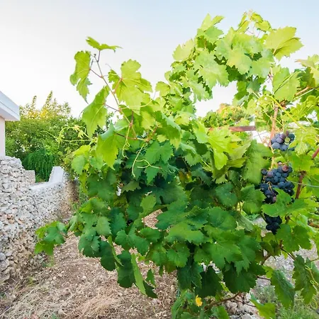 Lila's House Séjour à la campagne *