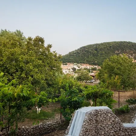 Landhuis Lila's House Eleousa