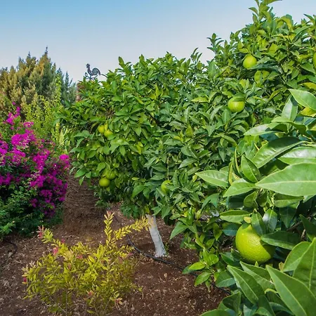 Lila's House Gospodarstwo wiejskie *