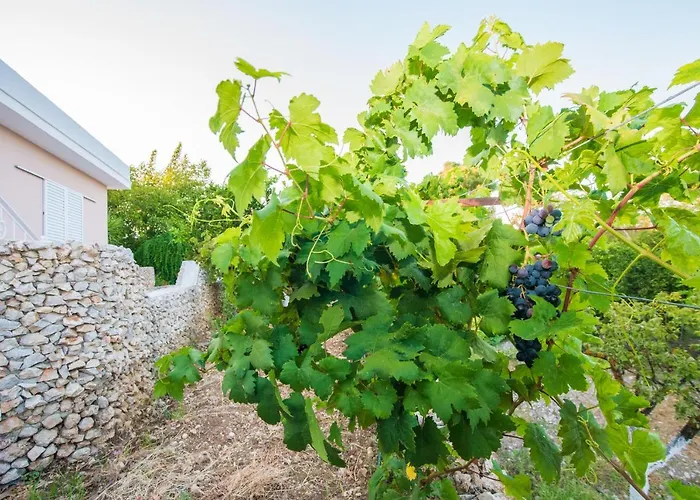 Lila's House Casa rural *