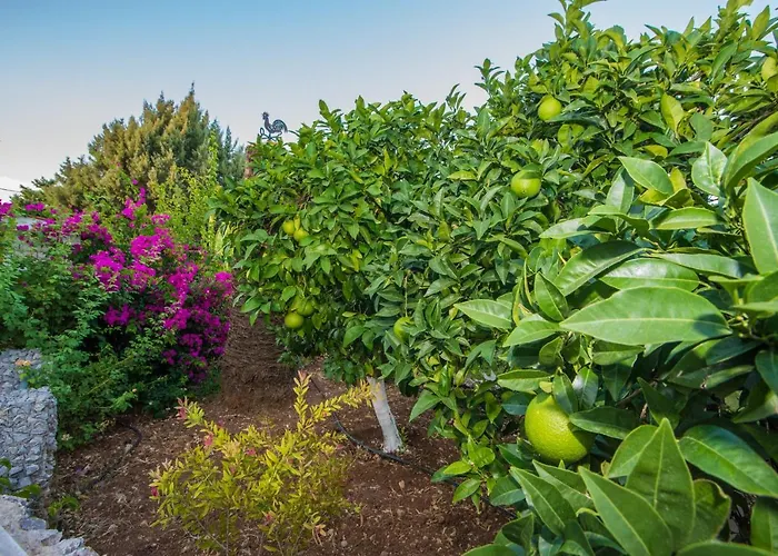 Lila's House Casa rural *